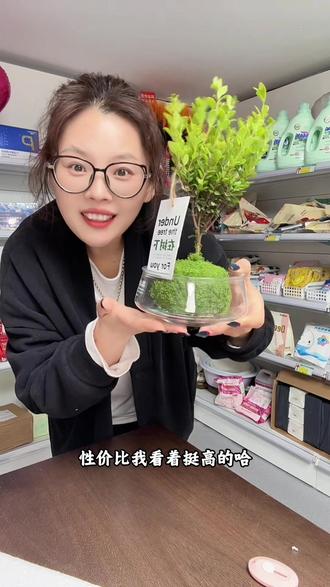 它不仅好看,还很好养活,绿油油的放哪里都很好看,有水就能活,很好养#水培植物 #绿植 #小赤楠盆景 #好看又便宜
