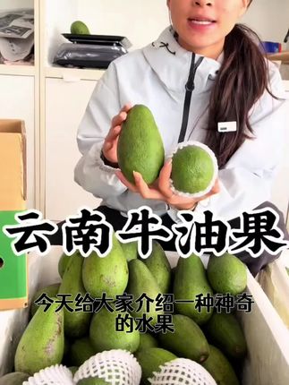 【国产好货】正宗云南品克顿牛油果树熟现摘精品辅食鳄梨枚枚超大果#好物推荐#新款必备#精选推荐