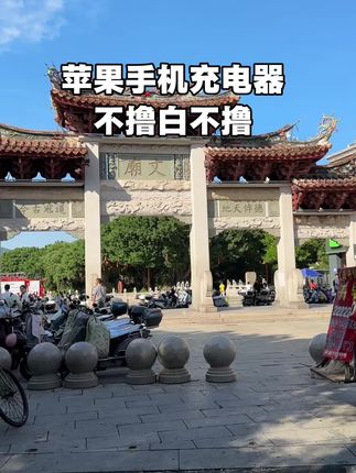 一人撸一份,不拿白不拿#苹果数据线#苹果充电器#充电器#超便宜超划算 #薅羊毛