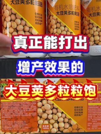 大豆荚多粒粒饱,如何正确使用。#大豆种植 #大豆高产 #大豆 #三农 #农业种植
