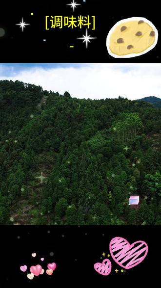 八角其实有很多品种,如果买错了,那么做菜肯定是不香的,买八角认准我们原产地,自家种植的八角,足干无硫! #八角