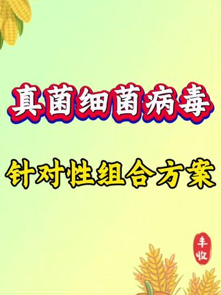 真菌细菌病毒针对方案分享。#三农 #三农种植 #病虫害防治 #服务三农支持三农 #病毒病