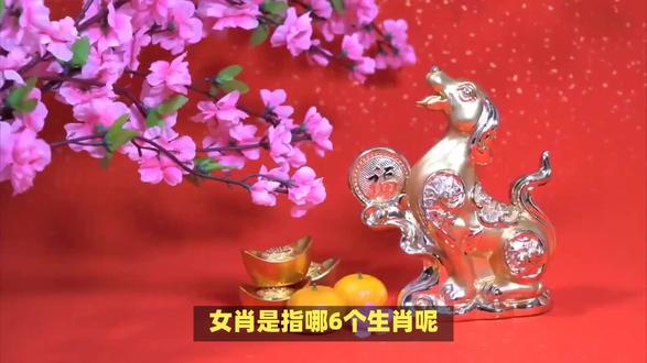 女肖是指哪6个生肖呢? #内容启发搜索