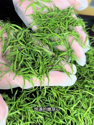 99元到手4罐的干茶品质到底怎么样?#召唤茶友#茶叶#源头工厂#茶生活 @抖音小助手