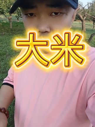 大米还真得是东北这嘎达