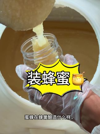 你没喝过的东北蜂蜜 #养蜂日记 #养蜂人 #养蜂 #天然蜂蜜
