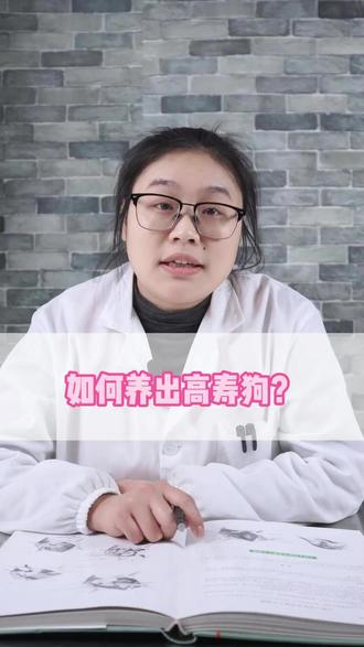 想把狗养到20岁,该怎么喂? #科学养宠攻略 #养狗经验分享 #萌宠 #狗 #养狗人