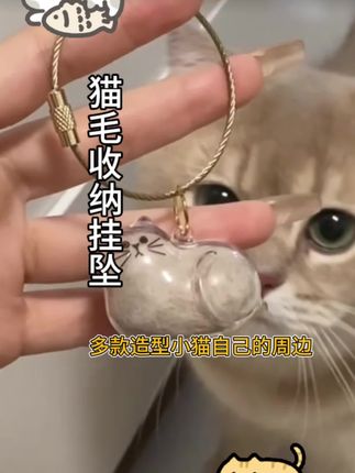 我的小猫也出自己的周边了,以后就能带着小小咪出去玩啦#养猫人 #猫毛挂件 #宠物好物推荐 #银渐层