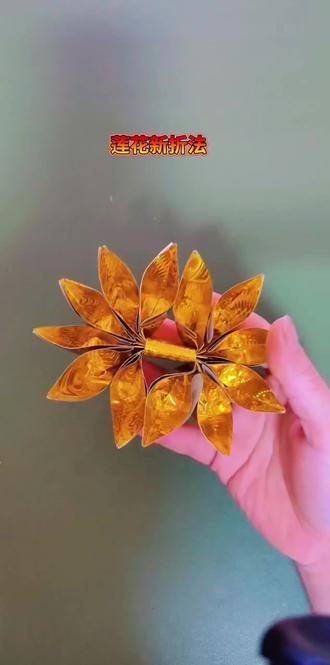 #手工折纸 #莲花折法 @木木呀 点关注不迷路好运常伴你左右