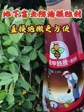 #花生#红薯#地下害虫克星 #农业种植 #病虫害防治