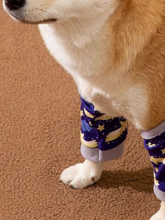 宠物保暖护膝护肘护关节大狗防磨腿套防脏防灰衣服#萌宠好物 #狗狗衣服 #大狗 #狗狗的日常 #萌宠养成记