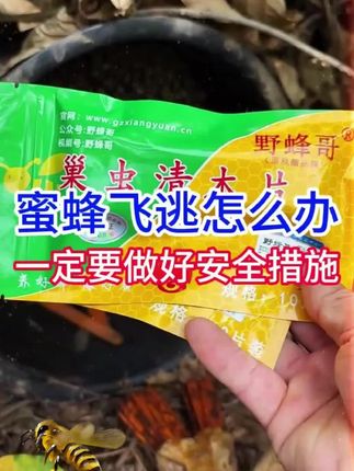 #我的乡村生活 野蜂哥中蜂防虫 防虫木片 清木片养蜂除棉虫专用养殖产品使用#蜜蜂养殖#养殖场#三农#巢虫
