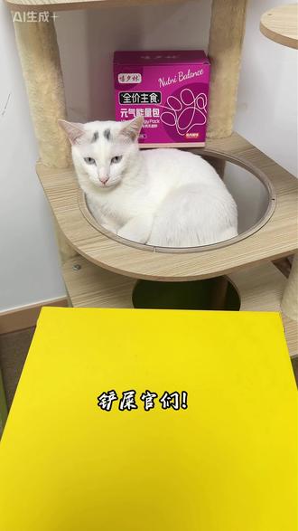 吃饭+补水一袋就够了, 全价主食级别,高营养,好吸收,长肉不虚胖。
#嘻夕林 #嘻夕林元气能量包 #科学养宠 #新手养猫 #养猫好物