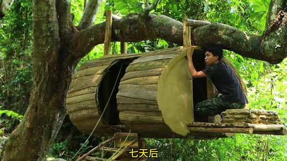他用最原始的手艺,造出最硬核的丛林安全屋!#荒野建造 #野外生存 #解压视频