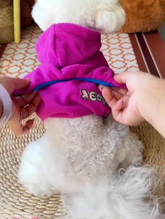 四脚衣宠物猫咪秋冬衣服小中大狗狗用品摇粒绒柯基英短泰迪可牵引#宠物四脚衣 #宠物衣服 #可牵引衣服 #猫咪衣服 #柯基衣服