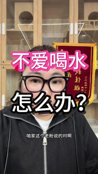 猫猫不爱喝水?那是因为你没喂对!#新手养猫 #养猫人 #喝水 #铲屎官的乐趣 #科学养宠攻略