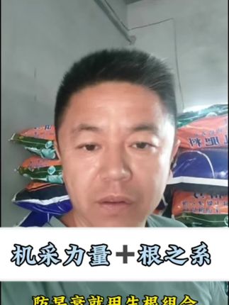 防早衰就用机采力量生根粉#农资人 #农资经销#农资肥料