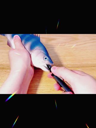 特氟龙磨钩器加长款桑巴路亚钳,带钩条矫正等各种实用功能 #路亚 #桑巴路亚 #路亚钳 #路亚剪