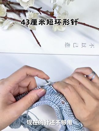 43厘米短环形针适合织袖子领口#好物推荐#我们一起织毛衣#玩毛线#毛衣针#棒针@DOU+小助手