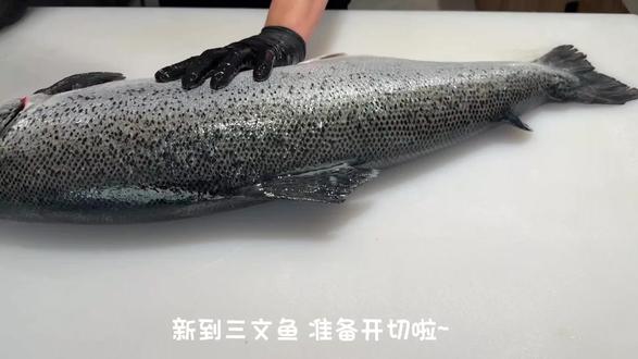 沉浸式切三文鱼#日常vlog