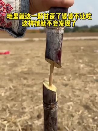 这样婆婆就不会发现了