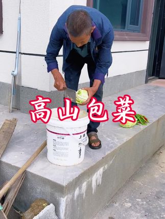 高山种植的包菜,想吃的直接下单,我去地里给你砍了快递过去。#我的乡村生活 #乡村味道