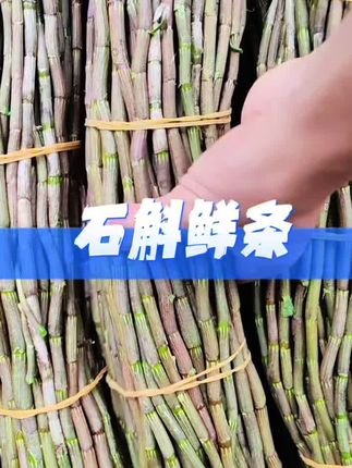 中秋好物云南石斛鲜条500克250克铁皮石斛鲜条石斛花铁皮干条石斛#云南 #特产 #石斛 #推荐 #好物推荐🔥 @DOU+好生意 @DOU+小助手
