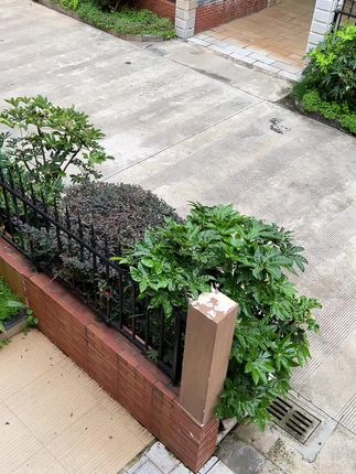 全家人都可以一起用的#云朵夹 颜值和品质都很好,家里有小宝宝的可以用来晾晒宝宝的小袜子,小围兜,小衣服,方便收纳和整理#宝宝衣架 #宝妈推荐 #孕期囤货 #儿童衣架