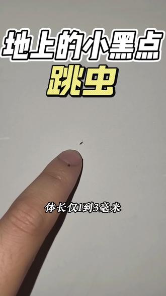 地上的小黑点跳虫 家里就冒出芝麻大小、灰黑色、一碰就原地蹦跳的小虫,这是跳虫,也叫烟灰虫,体长仅1-3毫米,这就是床上常看见会蹦的小虫子,跳虫最喜欢潮湿、闷不通风、有霉味、有灰尘碎屑的环境,跳虫靠霉菌、皮屑、灰尘碎屑为生,虫体和排泄物沾在床品上,引发过敏丘疹反应,跳虫在温暖潮湿环境下繁殖特别快,从床上扩散到衣柜、墙角、窗台、花盆,越拖越多,预防消灭跳虫,开窗通风,跳虫最怕干燥的环境,配合跳虫杀虫剂防治,跳虫接触药剂就会死亡,这款药剂无色无味,孕婴和养宠家庭都能安心使用#跳虫 #跳虫杀虫剂 #跳虫防治 #跳虫会咬人吗 #跳虫怎么消灭