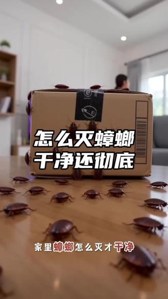 灭蟑螂到底怎么样干净还彻底,其实很多人都不会正确的灭蟑螂,家里有蟑螂?只需简单一招,就可以轻松消灭蟑螂#灭蟑螂#防虫小妙招#蟑螂怎么消灭最彻底#家里有蟑螂怎么办#蟑螂喷雾