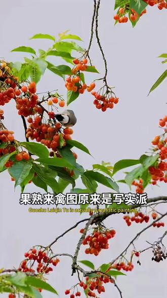 真的太有氛围感了,果熟来禽图原来是写实派 #果熟来禽图原来是写实派 #从这里读懂中国 #中国画#好书推荐