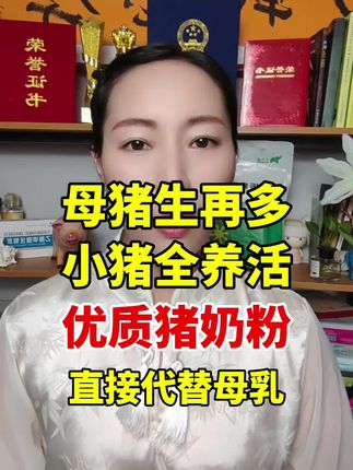 优质小猪奶粉来了 #养猪#母猪#养猪人#仔猪#所有养猪人
