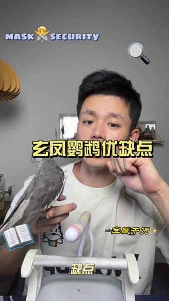 玄凤鹦鹉缺点 #上热门🔥 #萌宠出道计划 #vlog十亿流量扶持计划 #真实生活分享计划 #鹦鹉网红
