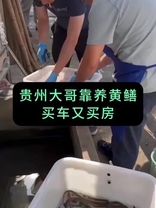 #黄鳝 #黄鳝养殖 #鳝鱼 #水产养殖 #养鳝人