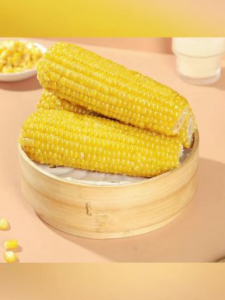 2025年新东北黄糯玉米真空包装新鲜现摘香粘粘苞米非即食粗粮 #黄糯玉米 #甜玉米 #糯玉米 #玉米真空包装 #玉米推荐
