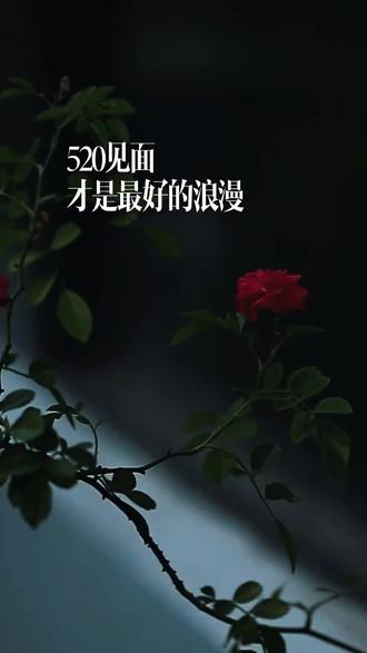 别再隔着屏幕说想念了,520该见面了#520 #情人节快乐祝天下有情人终成眷属 #520文案