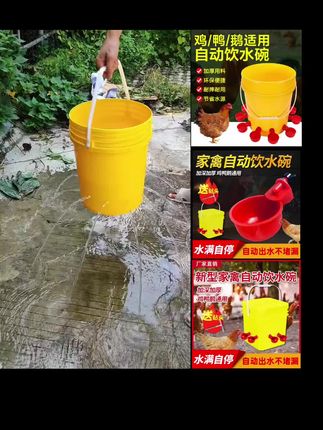 #鸡鸭鹅养殖 #助力三农