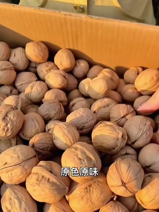 #纸皮核桃#纸皮核桃推荐#好货推荐 #核桃#好物推荐🔥 纸皮核桃2025新疆阿克苏薄皮生核桃185手剥烤熟奶香