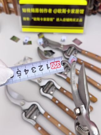 德国进口全钢一体打造成型的树枝剪,无焊接 加粗加厚的一款强力树枝剪,园林专用修枝剪#树枝剪 #树枝修剪 #修枝剪#园林工具 #果树修剪