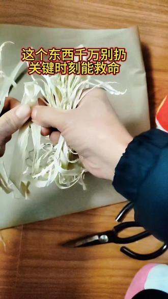 别再把玉米叶子当垃圾扔了!鹦鹉生蛋缺垫材?干玉米叶剪碎直接用!上一窝俩母鸟下10蛋全白,这次小公鸟到底行不行?来猜受精蛋数量,猜中送小鸟!#虎皮鹦鹉繁殖 #创作者中心 #创作灵感 #鹦鹉繁殖箱 #养鸟经验分享