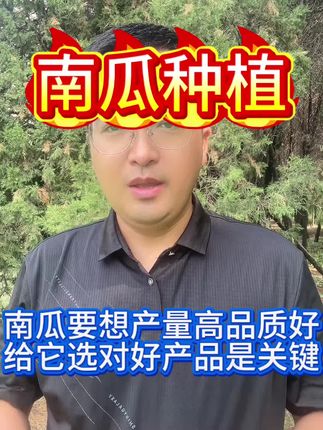 南瓜要想品质好产量高 给它选对产品是关键#知识分享 #涨知识 #南瓜种植#南瓜管理#南瓜高产