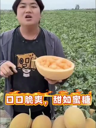 #一口掉进水果味的夏天 #正宗新疆哈密瓜 #哈密瓜 #夏日水果 #一口入魂的夏日宵夜