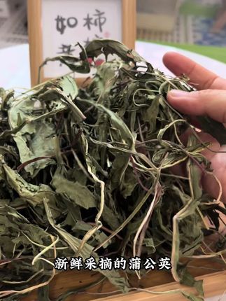 千万不要等到你家兔宝尿黄了,食欲不振,日渐消瘦的时候,才想着给你家兔吃蒲公英#兔子 #蒲公英 #兔子牧草 #兔子辅草 #兔子吃什么