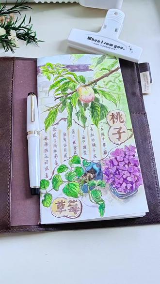 告别囤画本|桃子红了,手绘手账记录生活第1天
老家院子里的桃子红了,赶紧用画笔记录下来!让我回忆起第一颗桃子的清甜,对家乡的牵挂又多了一份期盼和美好。#手绘#画画#每天都有值得记录的瞬间#手账#画画使我快乐 #手绘