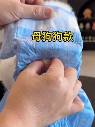 养狗家庭一定要备上这个尿不湿,平时坐车逛商场再也不用太尴尬了#狗狗尿不湿 #萌宠好物