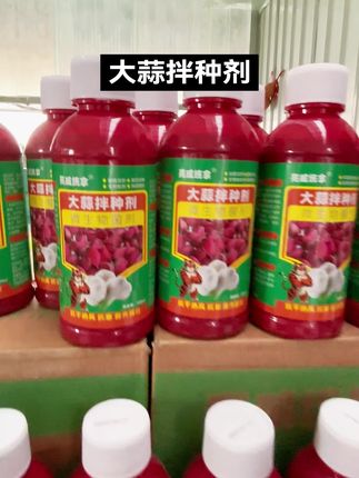 友友们这是新一代的拌种神器。兆如丰大蒜拌种剂,专为大蒜研发的高科技产品。它具有催芽、生根、防虫、防病和高产六大功能。使用方法简单,只需将大蒜种子与兆如丰按比例混合均匀即可。这样处理过的种子,出苗快而齐,根系发达,植株壮实,抗病力强,产量高。兆如丰大蒜拌种剂,是您种植大蒜的理想选择。它能有效提高大蒜的产量和品质##病虫害防治#服务三农支持三农#大蒜种植#三农种植#抖音助农