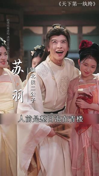 #天下第一纨绔 #权谋反转爽剧 #古装