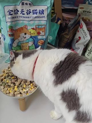豆七七全价猫粮来啦!幼猫成猫都能吃,冻干多拼超实在!鲜肉含量高,营养全达标,性价比直接拉满~每一口都是肉香暴击,猫咪狂炫不挑食!呵护肠胃还长肉,闭眼入不踩雷,赶紧给毛孩子囤起来,省钱又省心!#猫粮#豆七七猫粮#自用分享 #萌宠好物