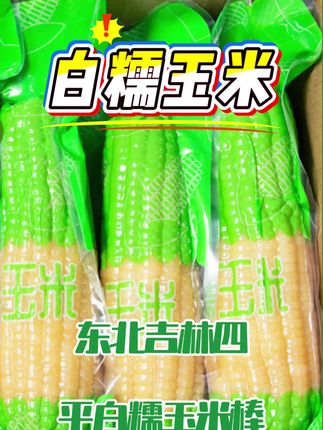 #白糯玉米#口感特别好 #大家都可以吃的粗粮