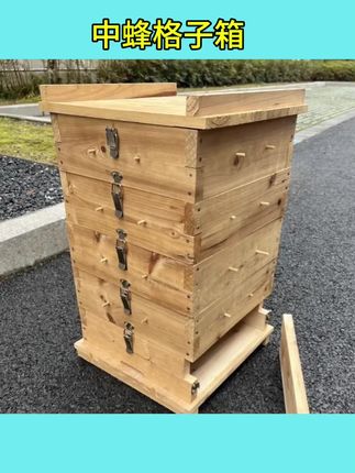 #中蜂格子箱 养蜂专用五层杉木中蜂格子箱诱蜂箱饲喂土养箱巢蜜箱懒人养蜂厚#格子箱#养蜂箱 #中蜂箱 #加厚养蜂箱